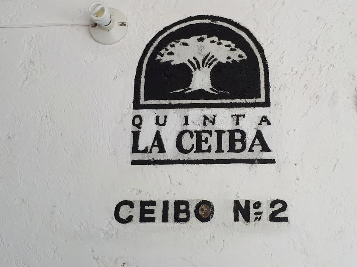 Quinta La Ceiba, Locacion Perfecta En El Corazon De Cancun Apartment